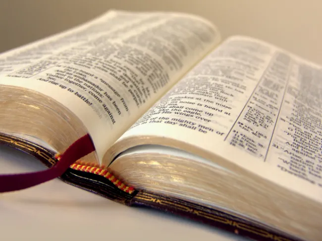 bible
